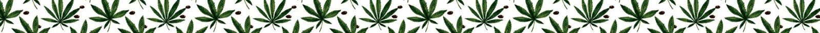 strip1_header_1920x80